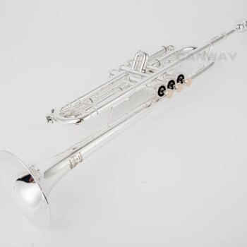 חצוצרה מצופה כסף בתון https://kolbomusic.com/trumpet-bb-silver/ 72856 wkl5np